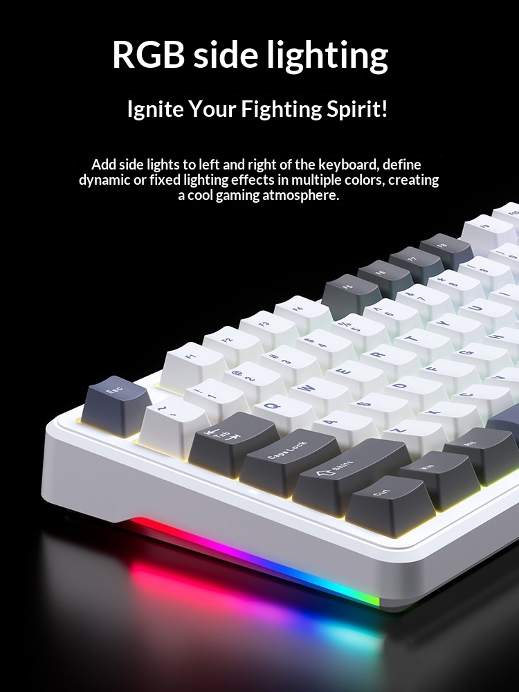 Aula F87 Pro Tri Mode Wireless - مراجعة Gaming Keyboard Not Typing وسعره