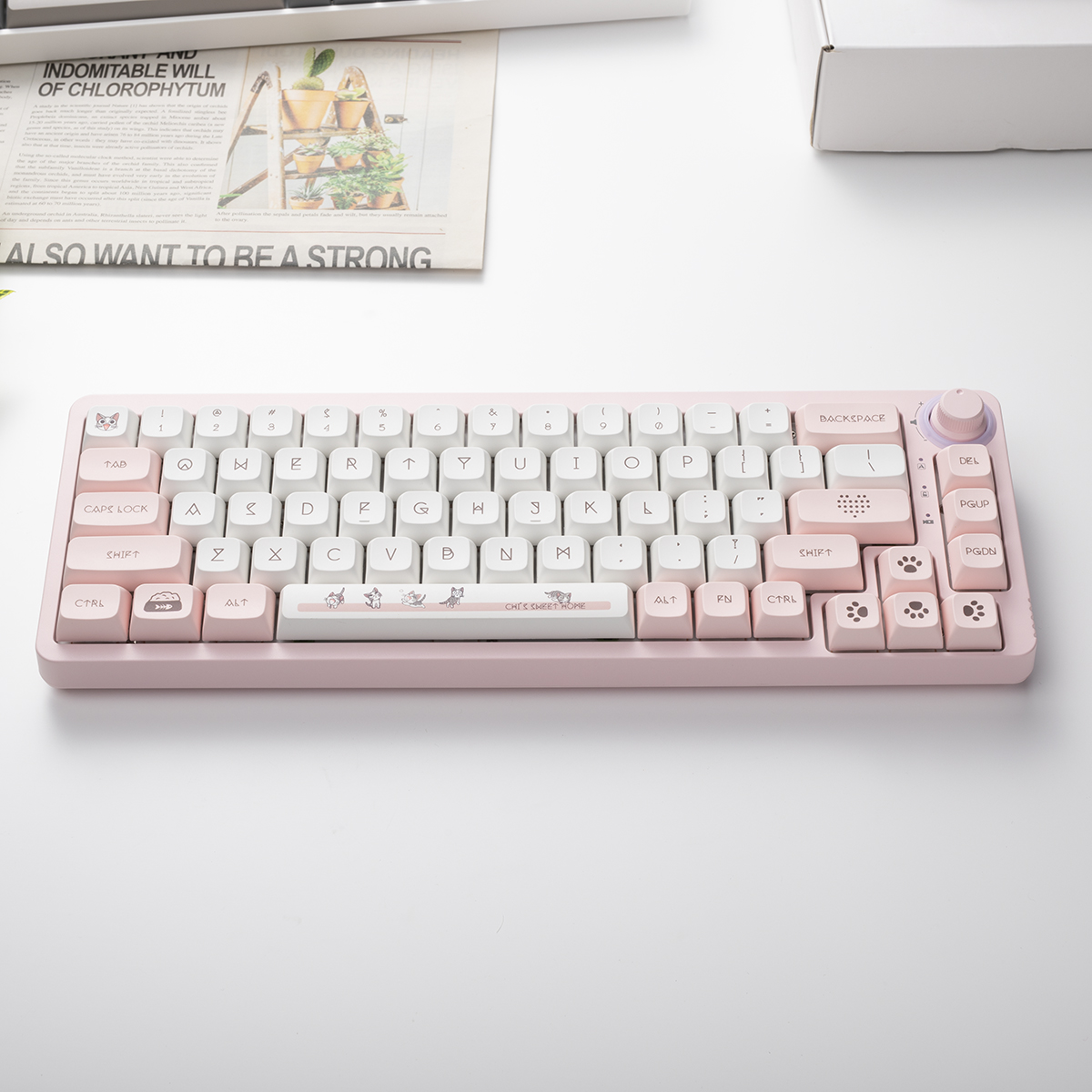TM680 Hot Swap Mechanical Keyb - مراجعة Hot Swap Pcb وسعره